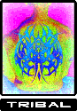 click to go to tribal tattoo page