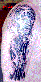 Cover up 3, the shading